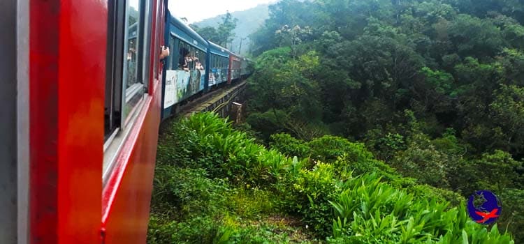 Passeio de trem em Curitiba