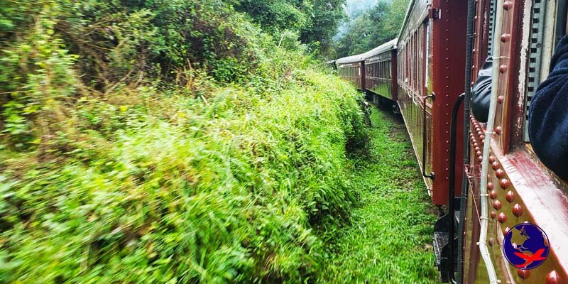 Passeio de trem de bento gonçalves