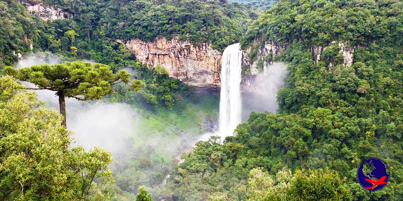 O que fazer em Canela RS - Cascata do Caracol