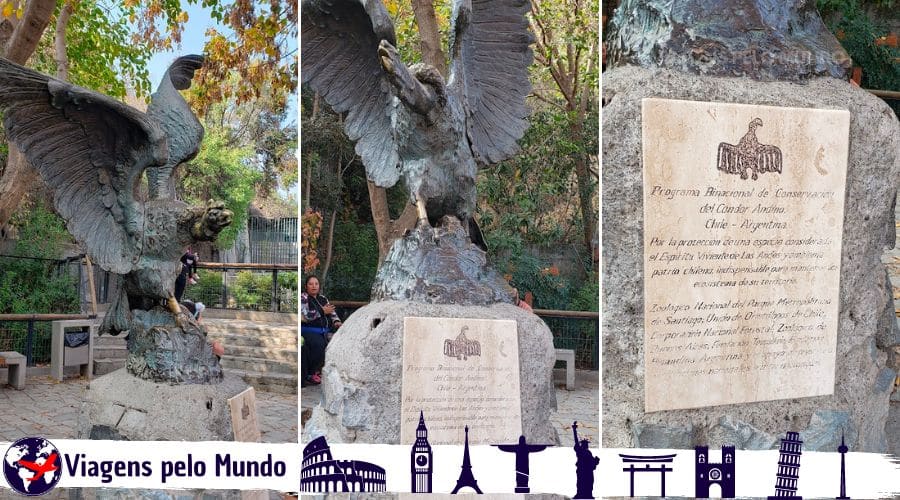 Homenagem ao Condor Andino