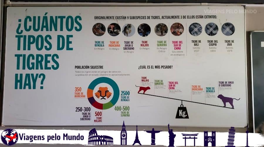 Placa educativa sobre os Tigres