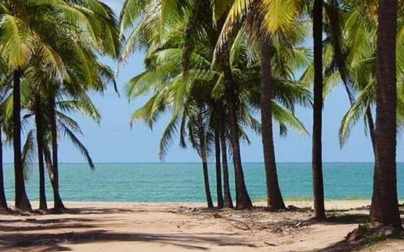 Caminho da praia de maracaípe