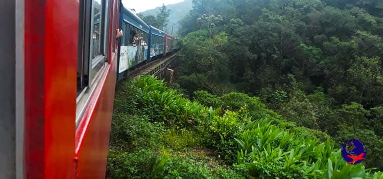 Passeio de Trem pelo Brasil