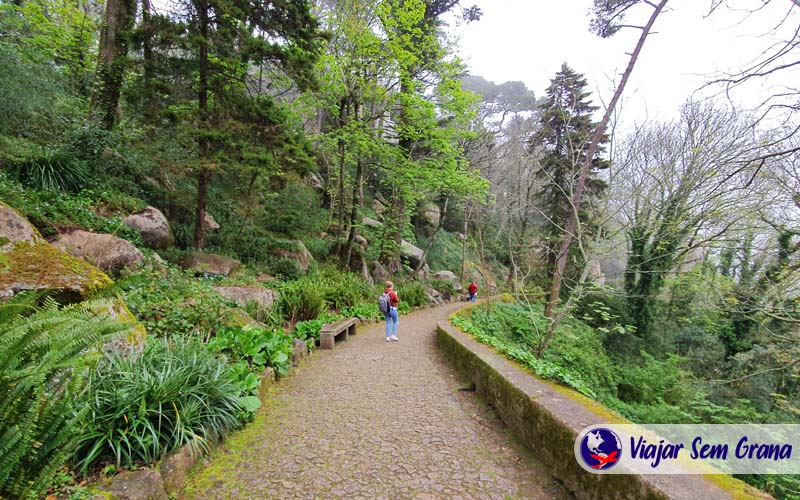 Caminho até o Castelos dos Mouros