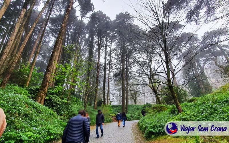Parque do Palácio da Pena