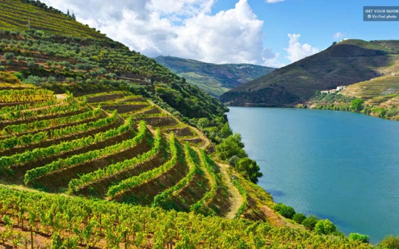 Passeio pelo Vale do Douro