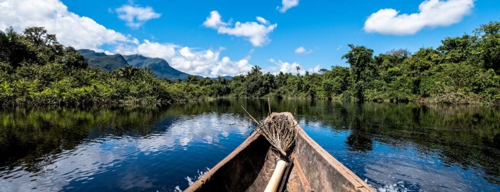 Vivalá na Amazônia no Brasil