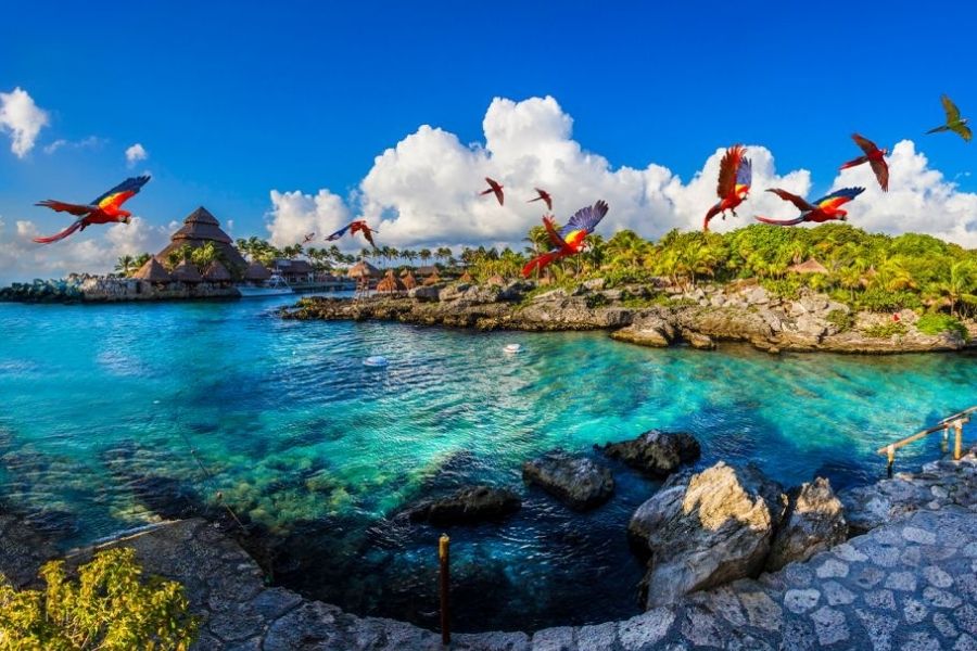 Passeios em Cancún parque Xcaret