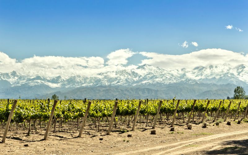Vinícolas em Mendoza na Argentina