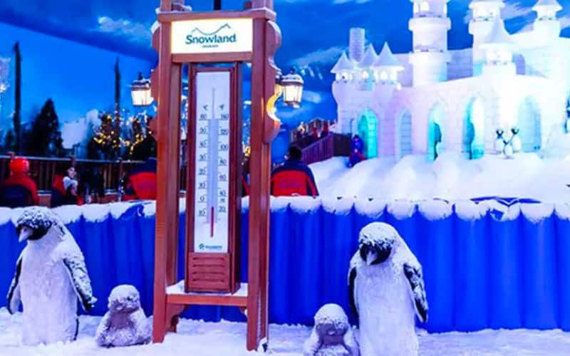 Passeios em Gramado no Snowland