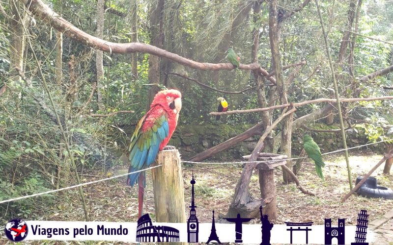 Gramado Zoo