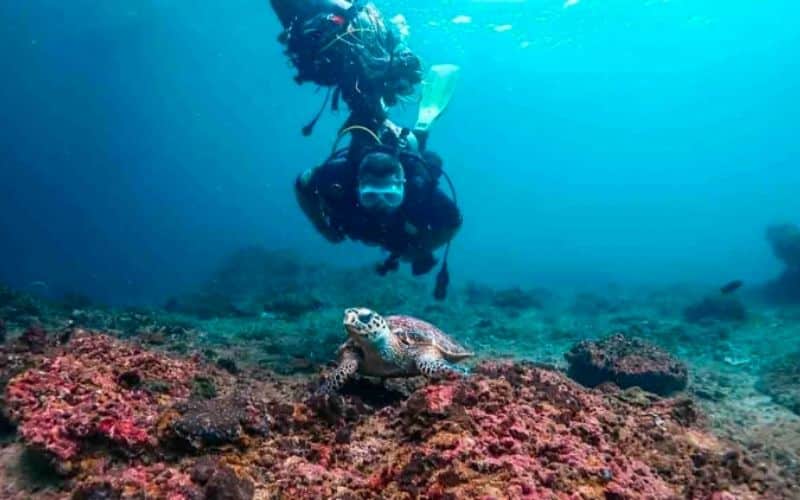 Mergulho em Phi Phi