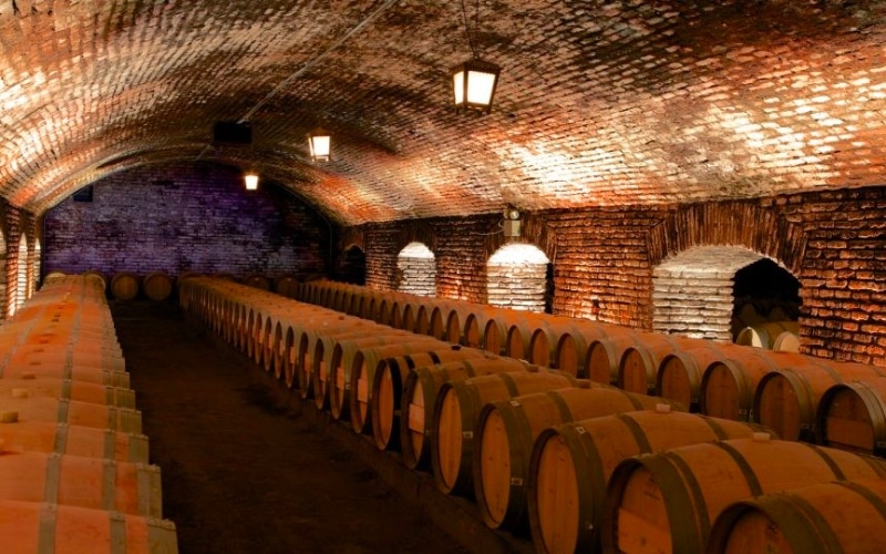 Vinícolas em Santiago, Concha y Toro