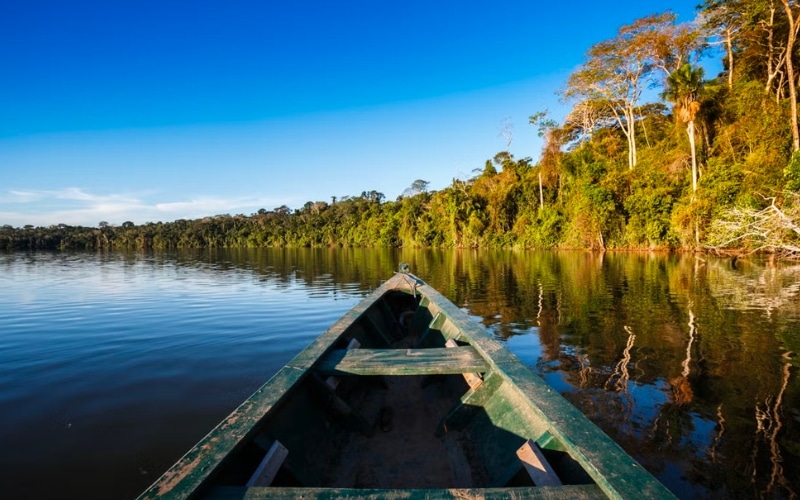 Excursão pela Floresta  Amazônica