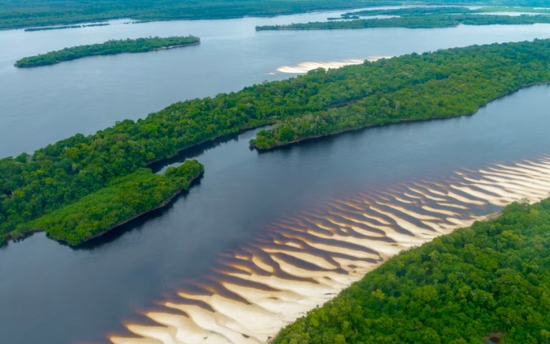 Tour pela Amazônica e Ilhas Anavilhanas