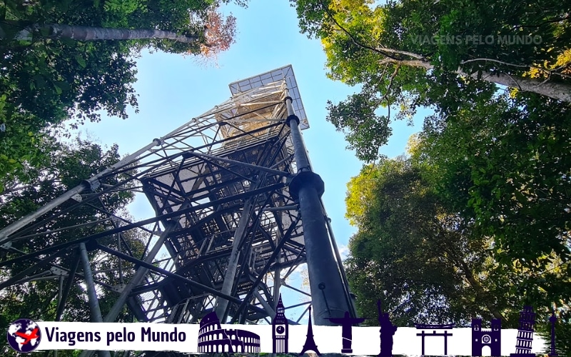 Plataforma de observação do Musa
