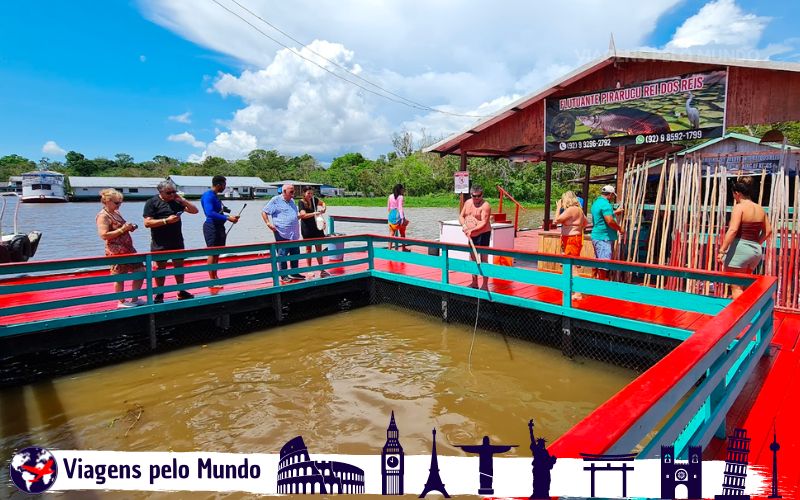 Pescando Pirarucu na Floresta Amazônica