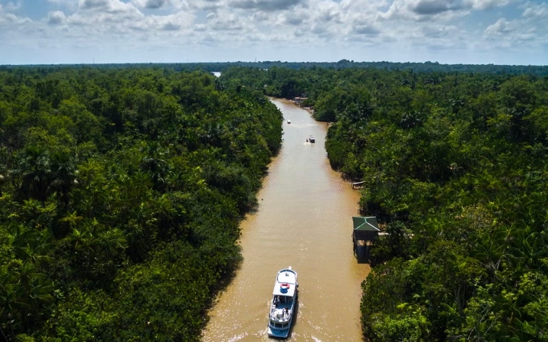 Tour de Manaus até Belém