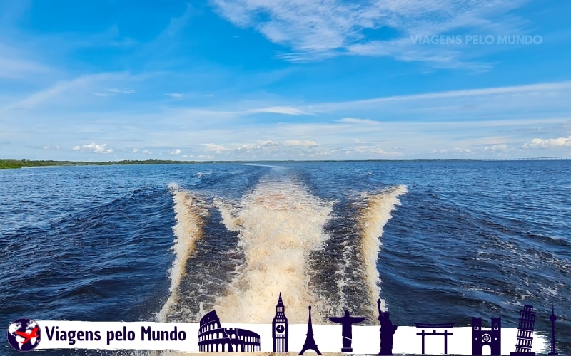 Tour pela Selva Amazônica