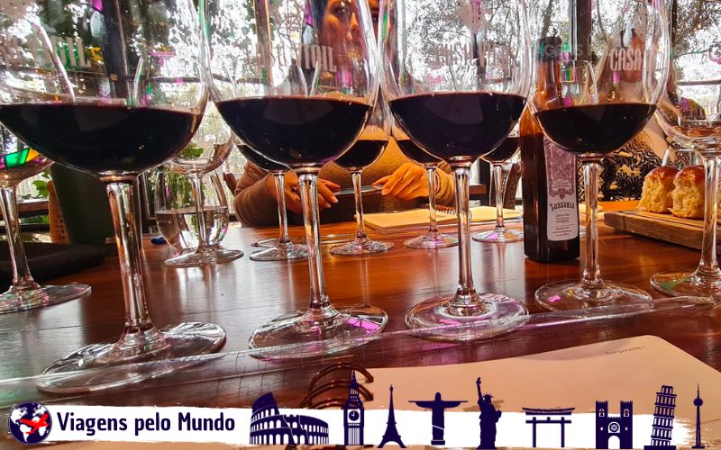 Vinhos que degustamos no Blending Game da El Enemigo