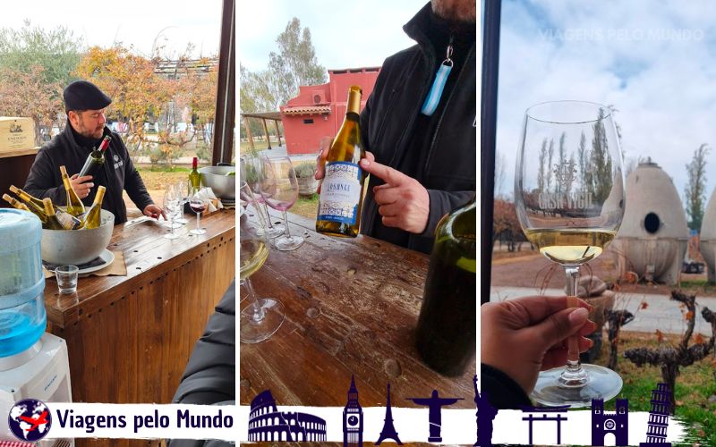 Degustação dos vinhos El Enemigo