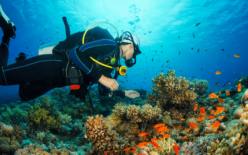 Passeios em Natal: Snorkel em Maracajaú