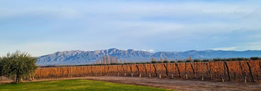 Vinícolas em Mendoza