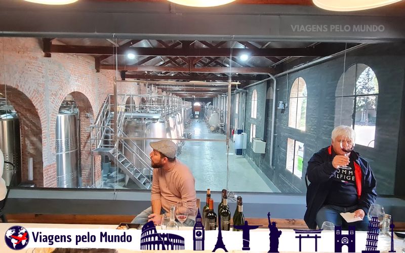 Degustação dos vinhos da Terrazas de los Andes
