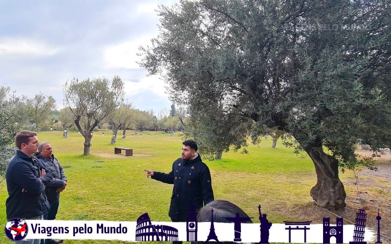 Visita Guiada na Bodega Trapiche