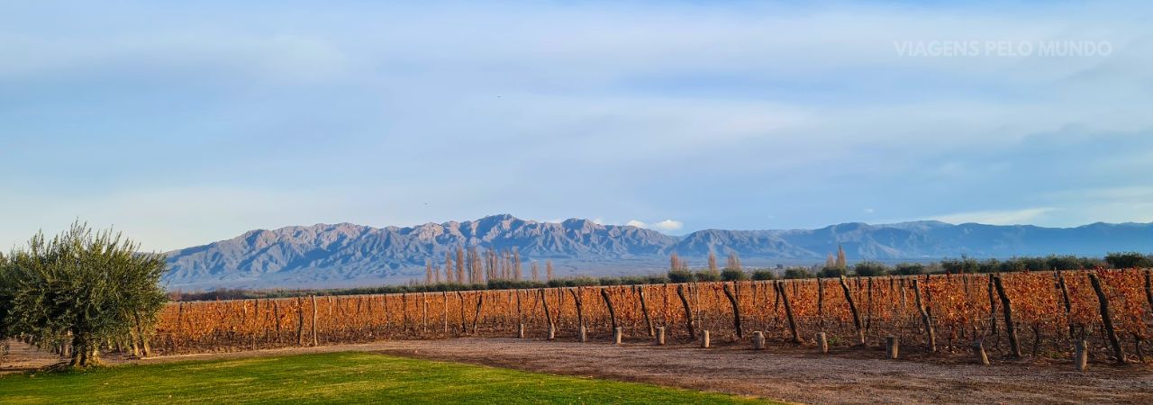 Vinícolas em Mendoza
