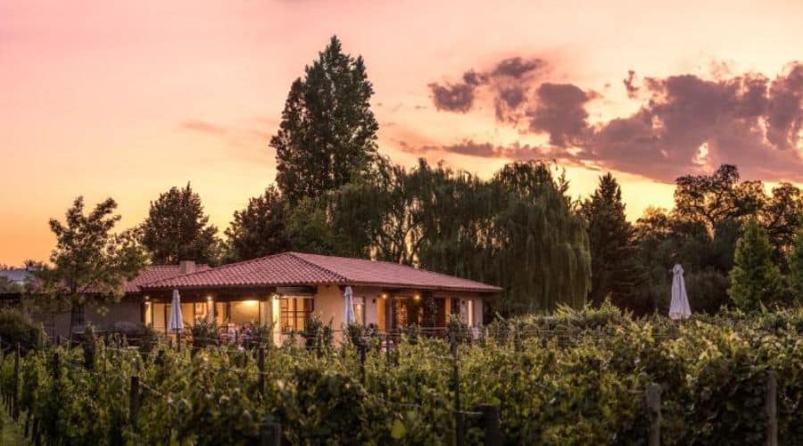 Posada Verde Oliva: casa de hóspedes em um vinhedo ao pôr do sol com o céu colorido em tons de rosa e laranja, refletindo um cenário tranquilo e romântico. A construção é rodeada por videiras e árvores altas, criando uma atmosfera serena e convidativa.