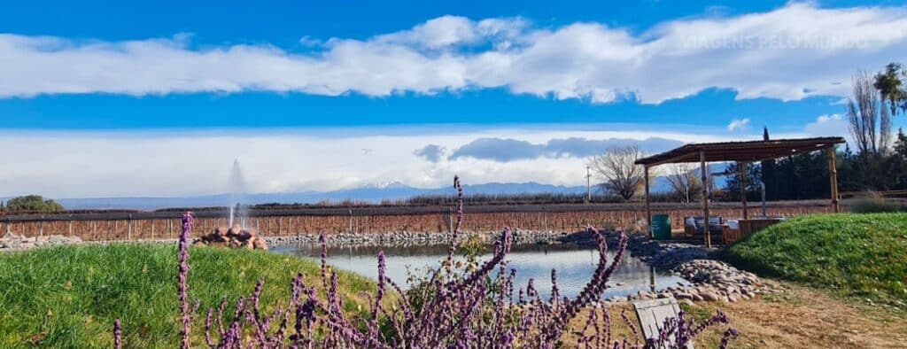 Visita da Bodega Sottano, minha experiência