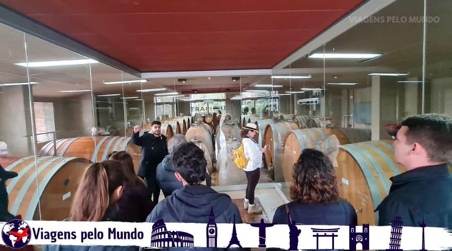 Visita na Bodega Trapiche com degustação clássica