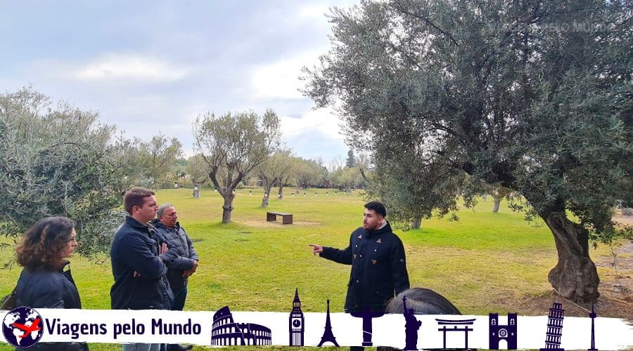 Visita na Bodega Trapiche é bem protocolar
