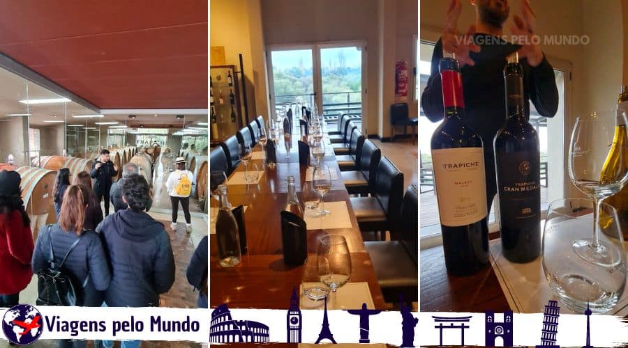 Visita na Bodega Trapiche pelas Barricas e Degustação