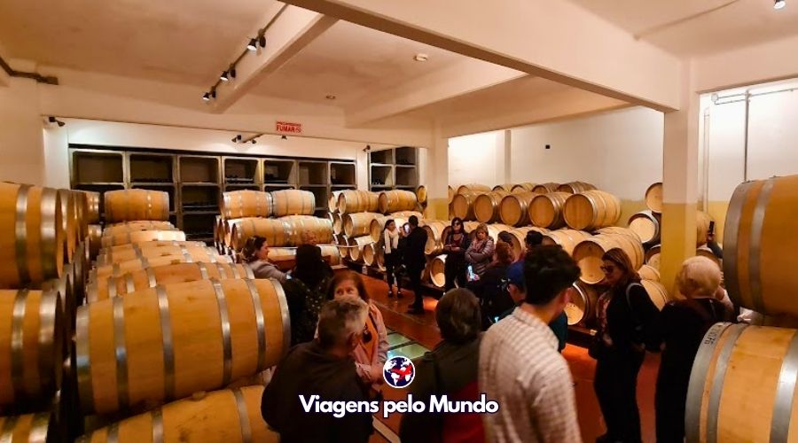 Adega da Bodega Bouza