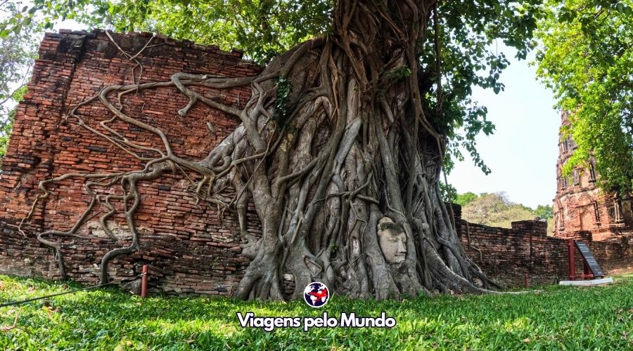Cabeça do Buda entre as raízes da árvore