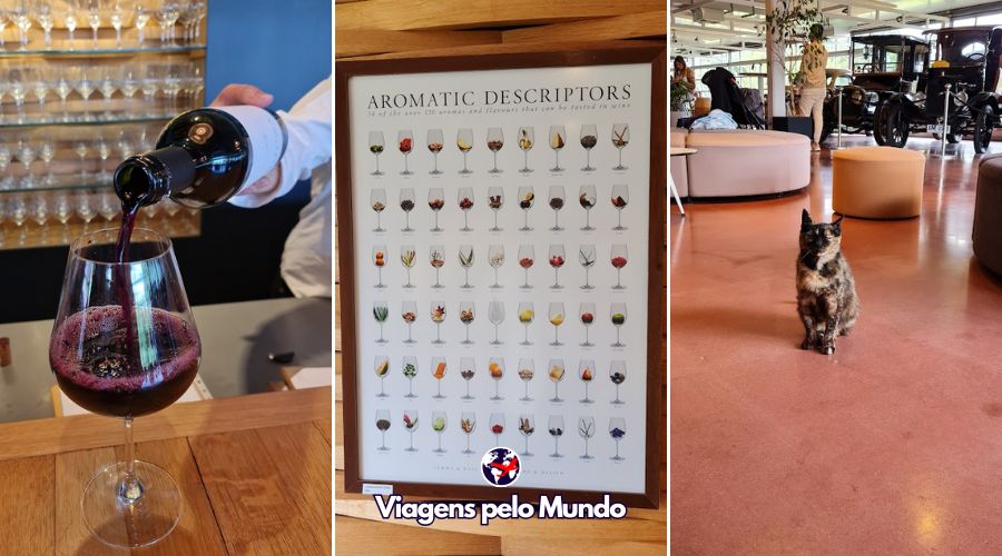 Vinho que experimentei no final e o mascote da bodega.