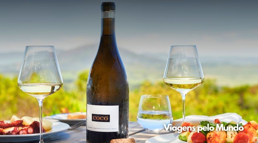 Almoço harmonizado com vinho no restaurante da Bodega Bouza.