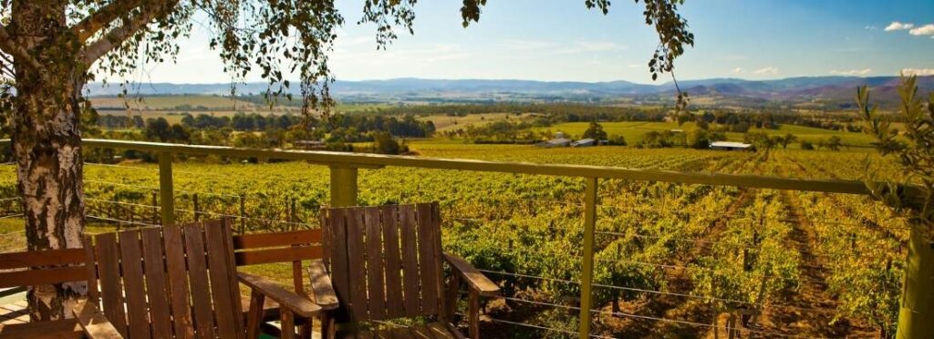 Jardim com vista para os vinhedos. Lista com as melhores vinícolas em Montevidéu.