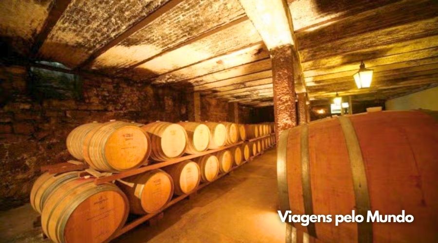 Barris com vinhos da Carrau sendo envelhecidos.