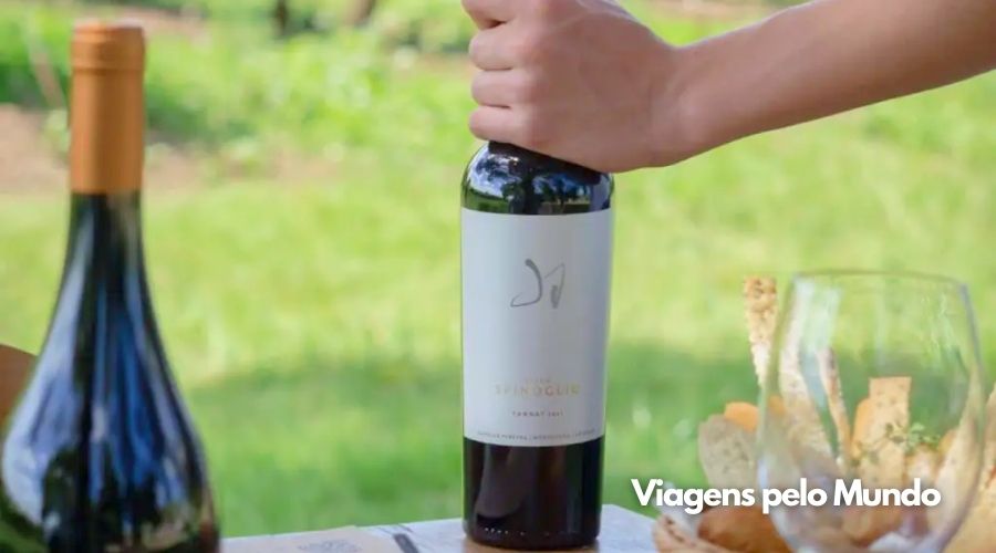 Vinho da Bodega Spinoglio