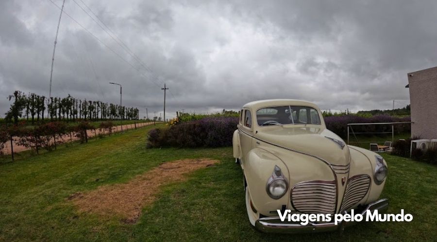 Carro antigo da família estacionado na frente da Bodega.
