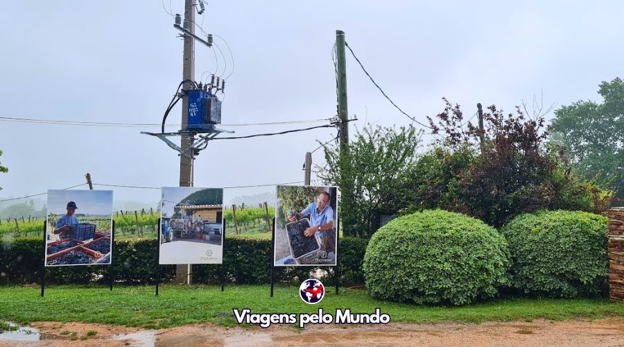 Entrada da Bodega Pizzorno no Uruguai